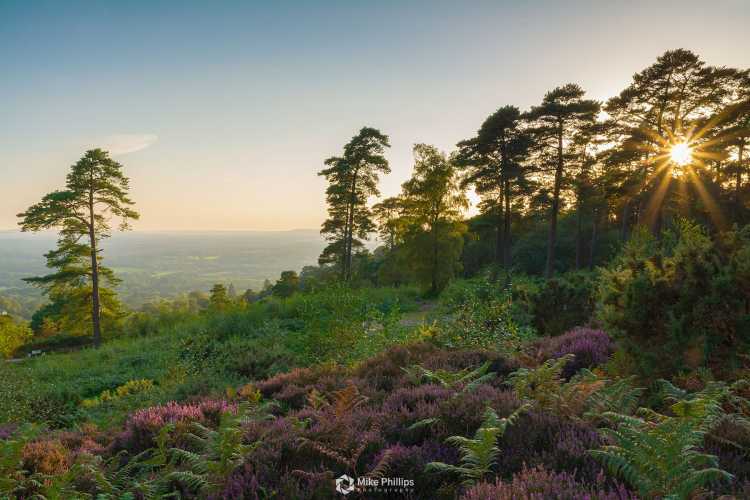Leith Hill