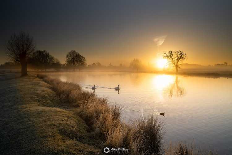 Bushy Park sunrise