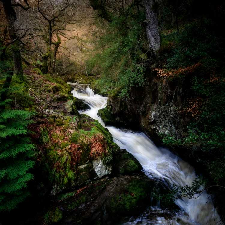 Aira Force