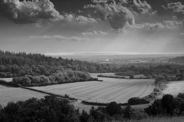A view from Pewley Down