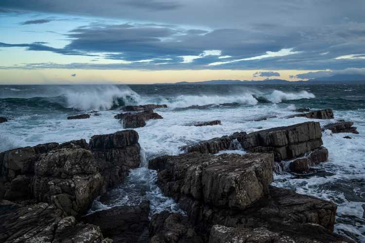 Life on an ocean wave