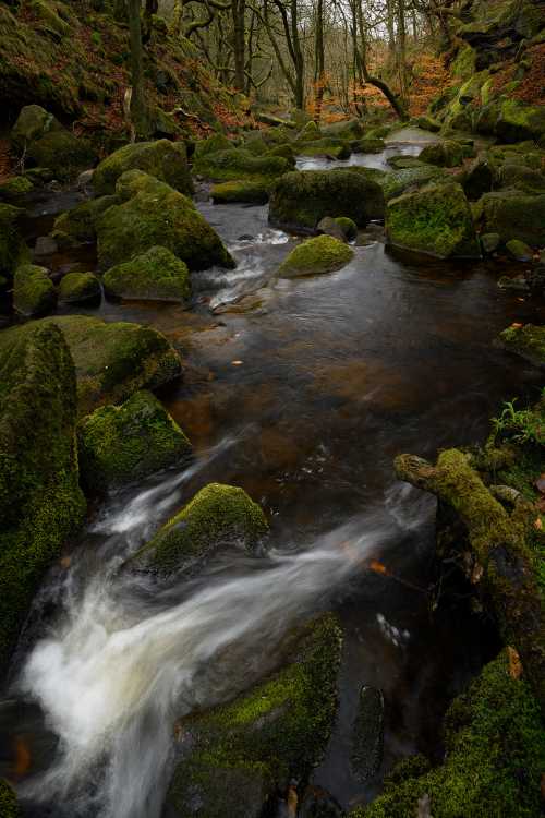 Padley Gorge