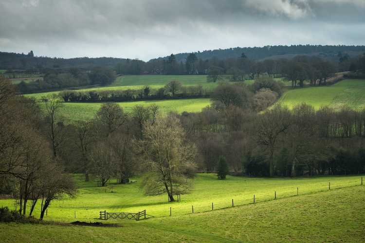 Light on the landscape