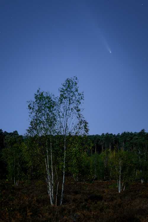 Dancing in the moonlight